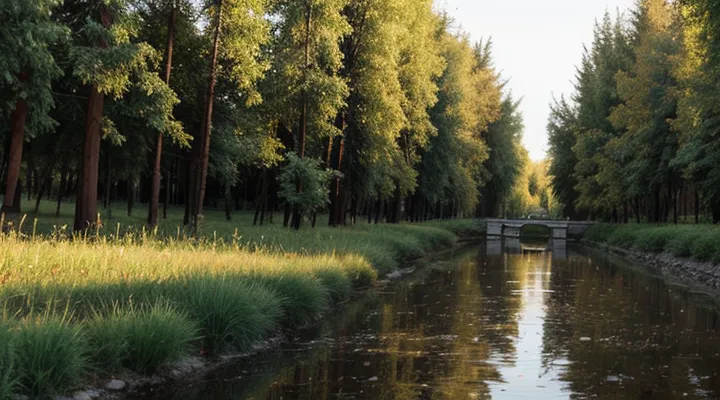 Что делать, если мошенники получили код от Госуслуг