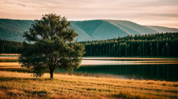 Что необходимо для регистрации на портале Госуслуг