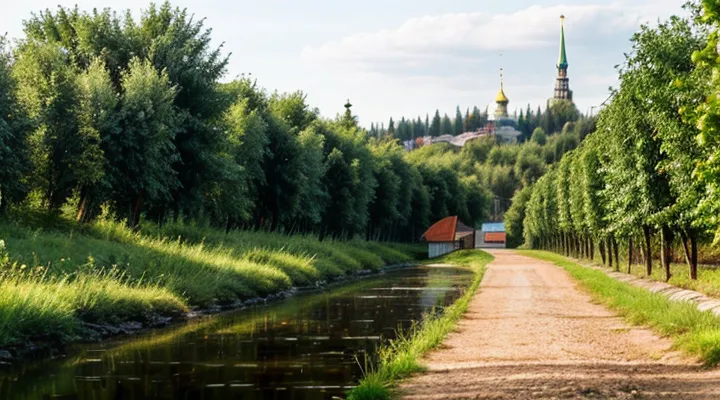Что представляет собой плагин Госуслуг и как им пользоваться