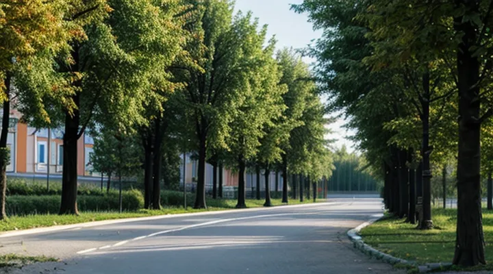 Что такое номер актовой записи в свидетельстве о рождении ребенка в системе портала Госуслуги