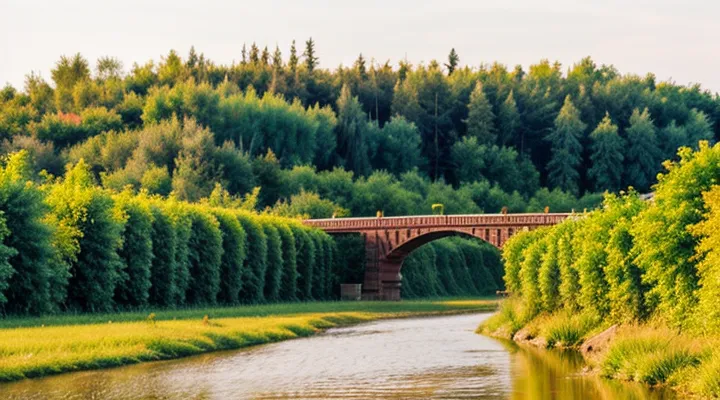 Где найти архив в личном кабинете Госуслуг