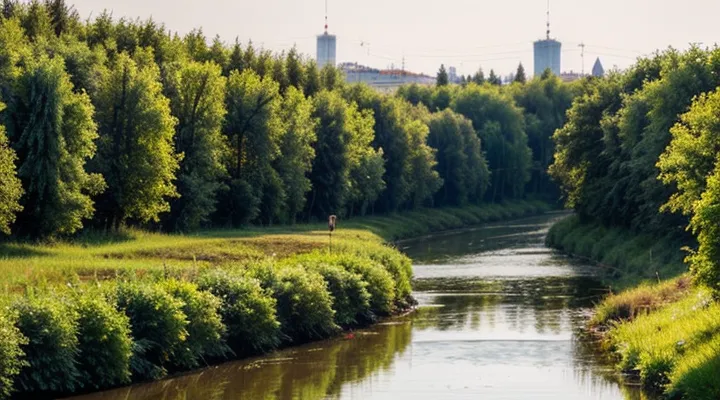 Где посмотреть пароль от сертификата электронной подписи в налоговой через Госуслуги