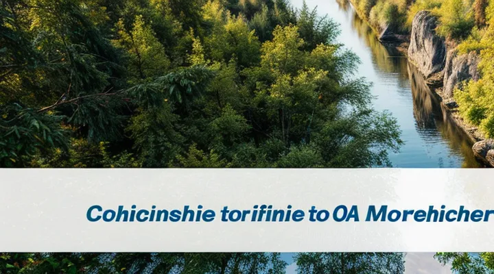 Как написать заявление в ФССП через Госуслуги