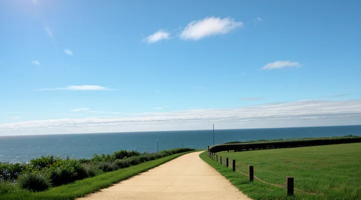 Как оплатить госпошлину за получение водительского удостоверения через портал Госуслуги