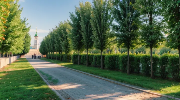 Как оспорить штраф ГИБДД с камеры через портал Госуслуги