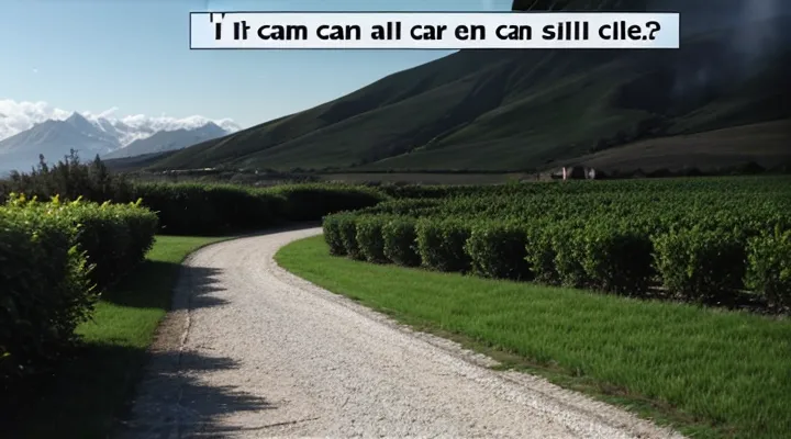 Как отключить самозапрет на кредит через Госуслуги