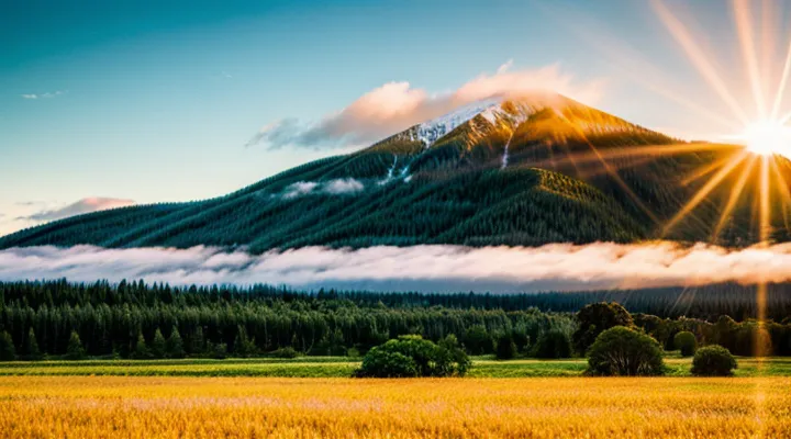 Как отменить заявление на Госуслугах, если оно уже принято