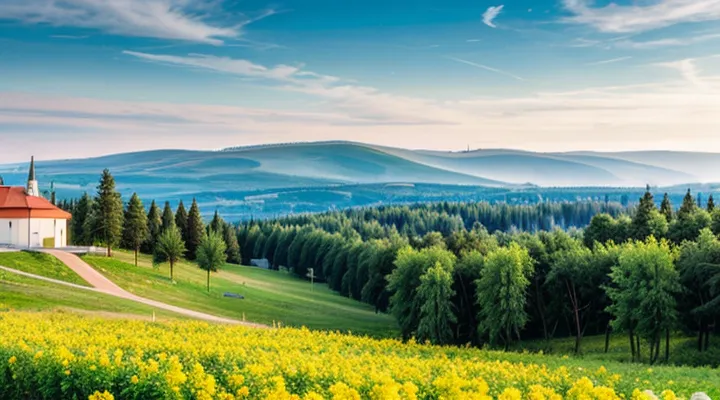 Как подать заявление на алименты в фиксированной сумме через Госуслуги