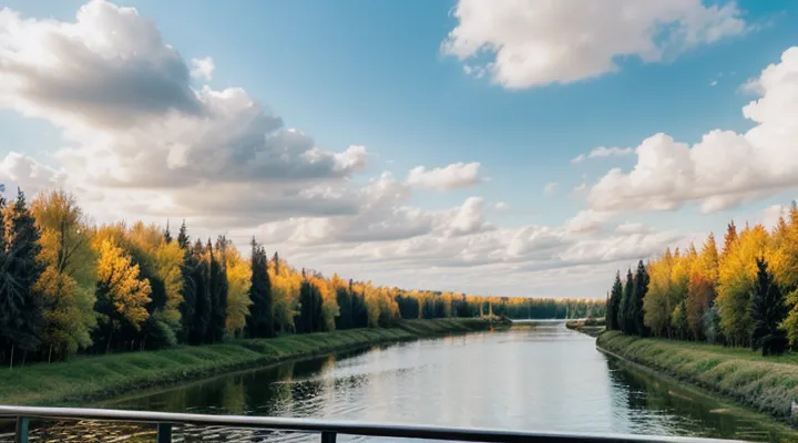 Как подать заявление на поступление в вуз через портал Госуслуг