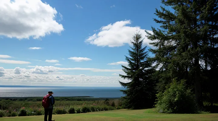 Как подать жалобу на работу Госуслуг