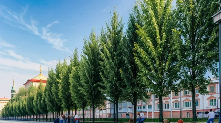 Как получить копию судебного решения через Госуслуги