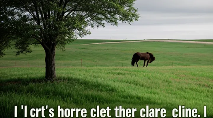 Как получить справку об обучении ребенка в школе через Госуслуги