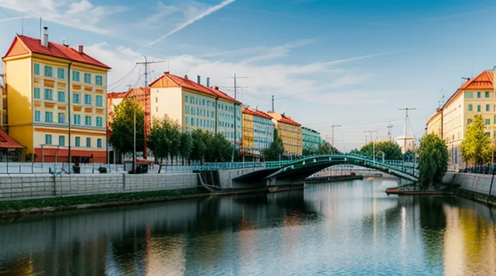 Как получить талон в ГИБДД через Госуслуги