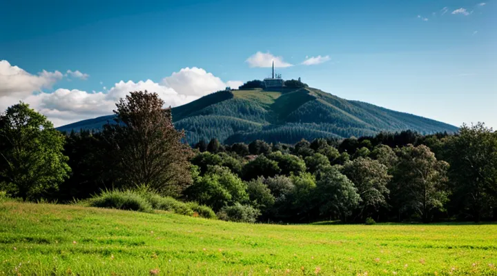 Как поменять загранпаспорт ребёнку до 14 лет через госуслуги