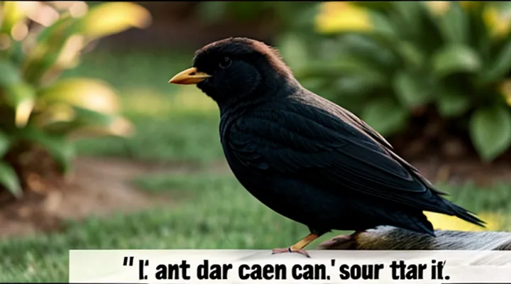 Как посмотреть пароль от аккаунта Госуслуг