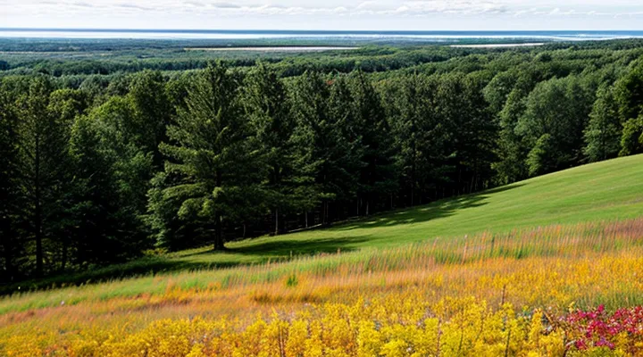 Как просмотреть пароль в приложении Госуслуги на смартфоне