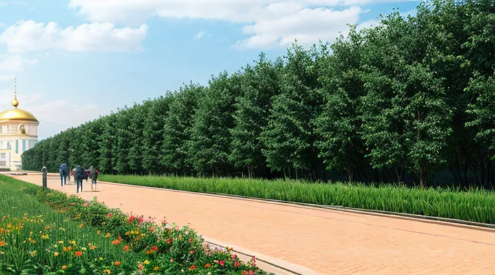 Как проверить самозанятость в Госуслугах