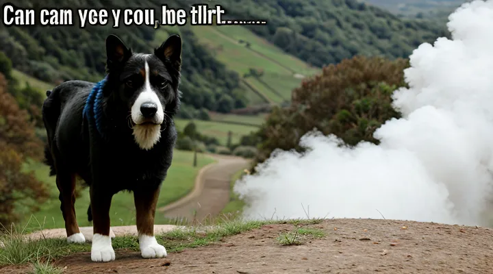 Как проверить статус рассмотрения заявления по номеру в госуслугах