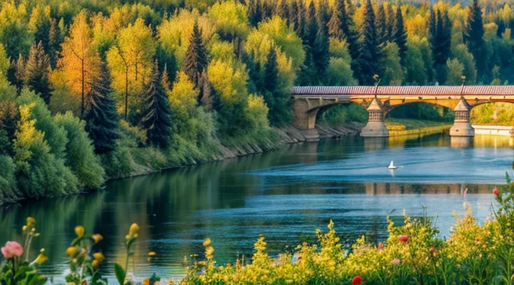 Как сдать отчёт ЕФС‑1 в СФР в электронном виде через портал Госуслуги