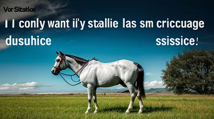 Как указать место рождения в заявлении на загранпаспорт на портале Госуслуг