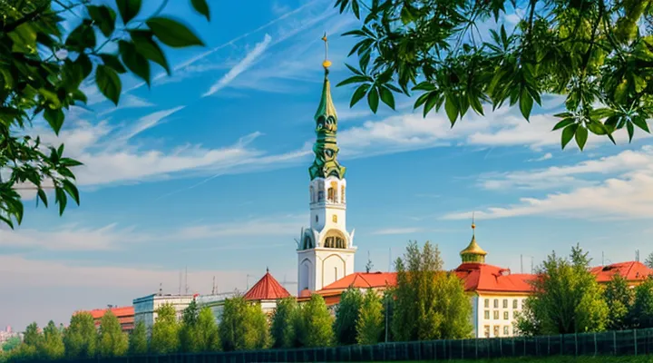 Как узнать сведения о зарплате в Госуслугах