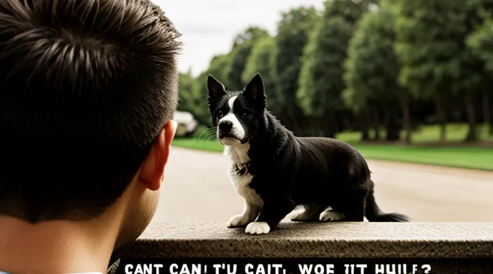 Как взять больничный дистанционно через Госуслуги