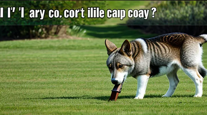 Как заблокировать доступ к порталу Госуслуг для мошенников