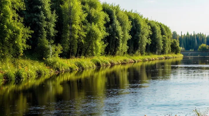 Как записаться на получение прав через Госуслуги