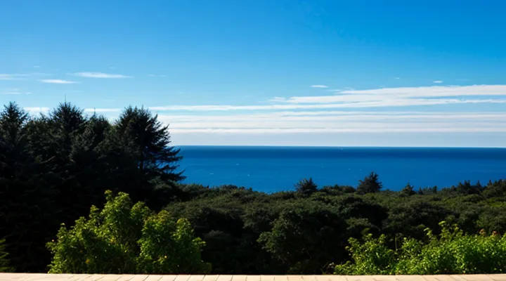 Как записаться на выдачу водительских прав через портал Госуслуг