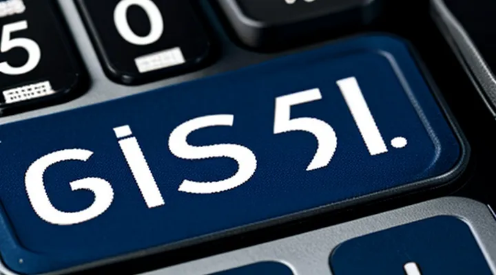 Код доступа к Госуслугам: сколько цифр требуется