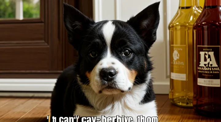 Когда подавать заявление на пенсию через Госуслуги