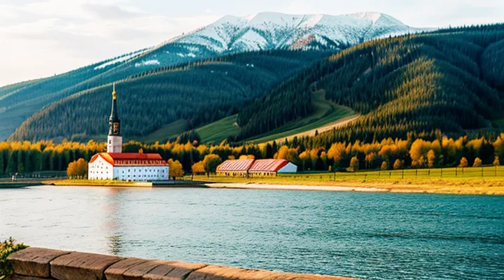 Куда приходит справка об отсутствии судимости, заказанная через Госуслуги