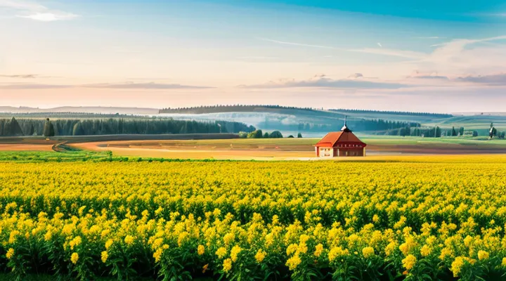 Можно ли использовать цифровые водительские права с Госуслуг