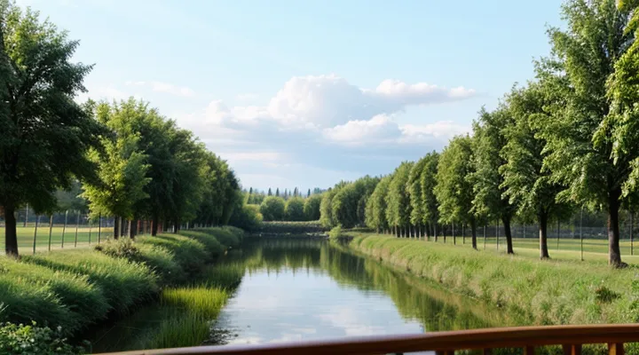 Можно ли заказать паспорт для ребёнка 14 лет через Госуслуги