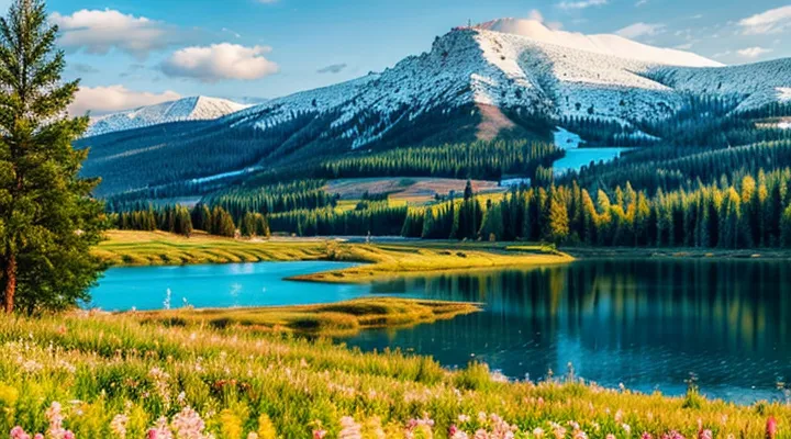 Номер телефона бесплатной горячей линии портала Госуслуги