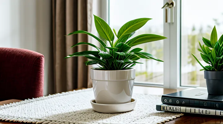 Подача заявления на свидетельство о рождении ребенка через Госуслуги