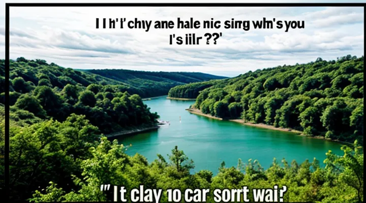 Получение телефонных номеров через портал Госуслуги