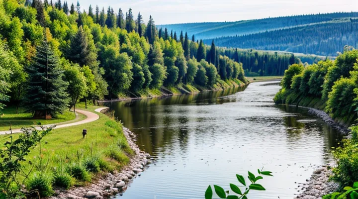 Регистрация общественной организации: пошаговое руководство в Госуслугах