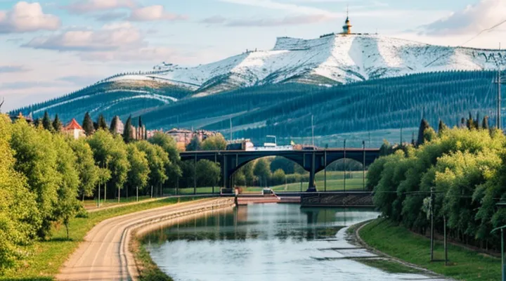 Удаление ВУЗа из заявления на Госуслугах: как правильно